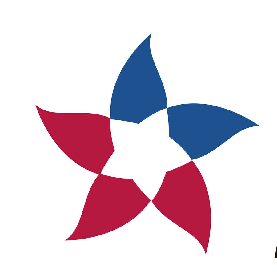 Logo Bellsystem24-Hoa Sao