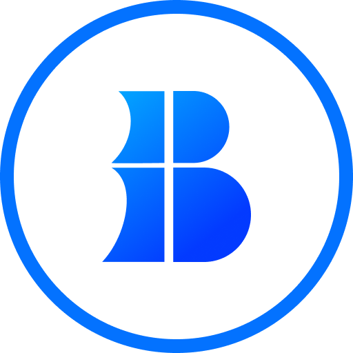 Logo Braly JSC