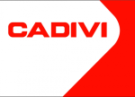 Logo CHI NHÁNH CÔNG TY CP DÂY CÁP ĐIỆN VIỆT NAM - NHÀ MÁY CADIVI MIỀN TRUNG