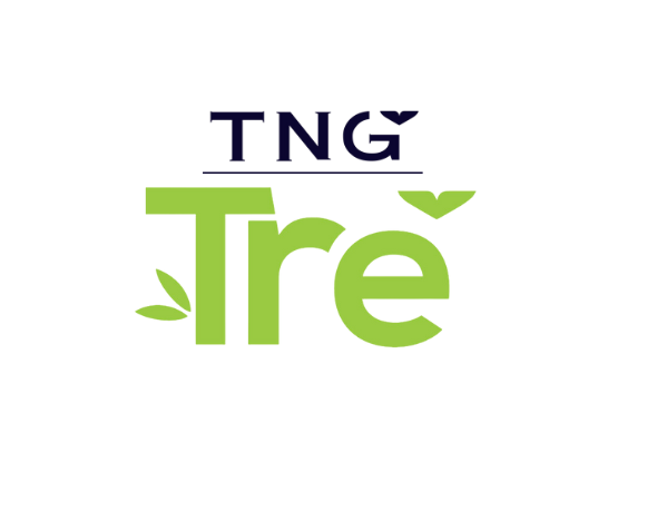 Logo CHI NHÁNH GIẢI PHÁP CÔNG NGHỆ TRE - CÔNG TY CỔ PHẦN ĐẦU TƯ VÀ THƯƠNG MẠI TNG