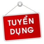 Logo CÔNG TY CỔ PHẦN DỊCH VỤ CẢNG HẢI PHÒNG