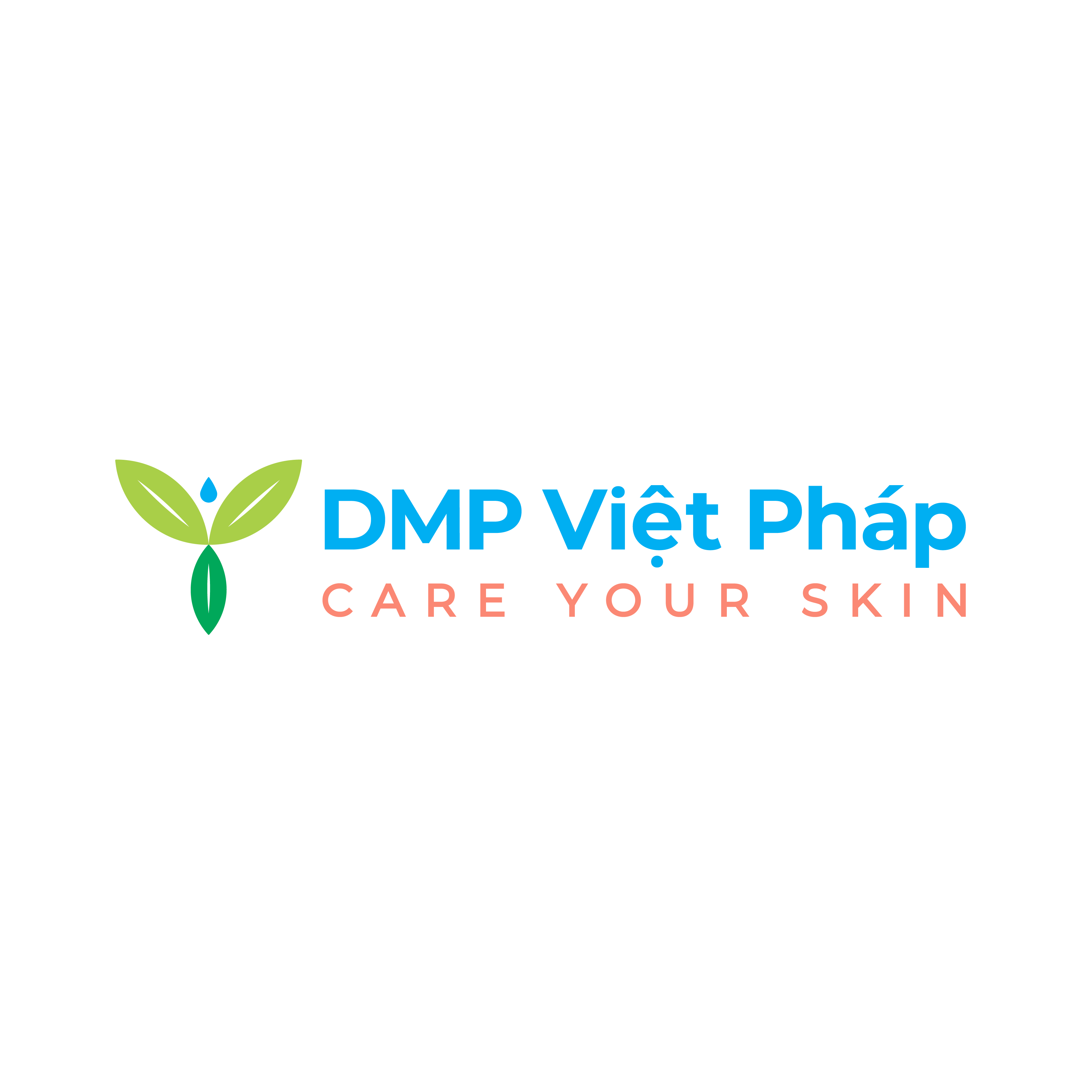 Logo CONG TY TNHH THUONG MAI DMP VIET PHAP